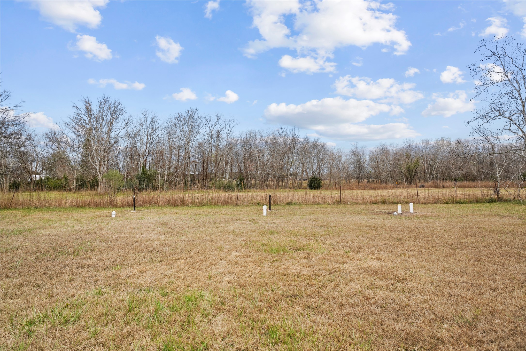 19645 Nordt Road Damon, TX 77430 - Photo 50 of 50 a view of a field