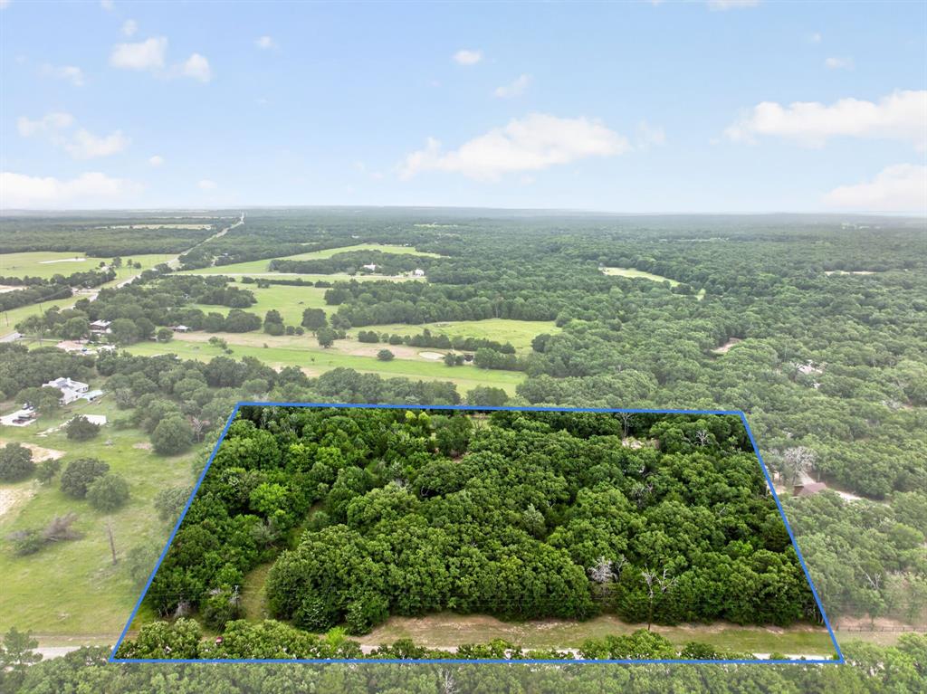 a view of a city with lots of green space