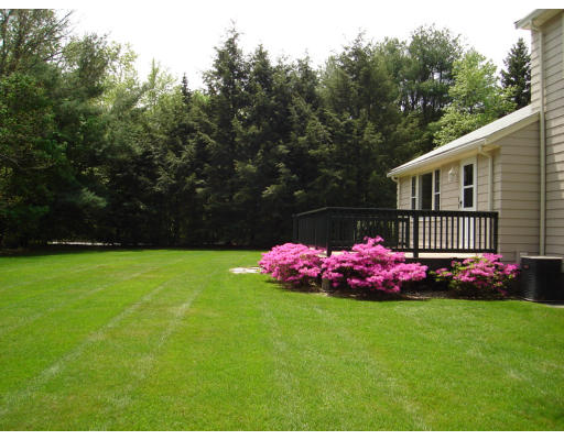 38 Saddle Club Road Lexington, MA 02420 - Photo 3 of 7