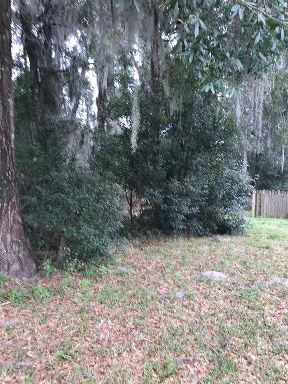260 Mercers Fernery Road DeLand, FL 32720 - Photo 3 of 5 a view of backyard with green space