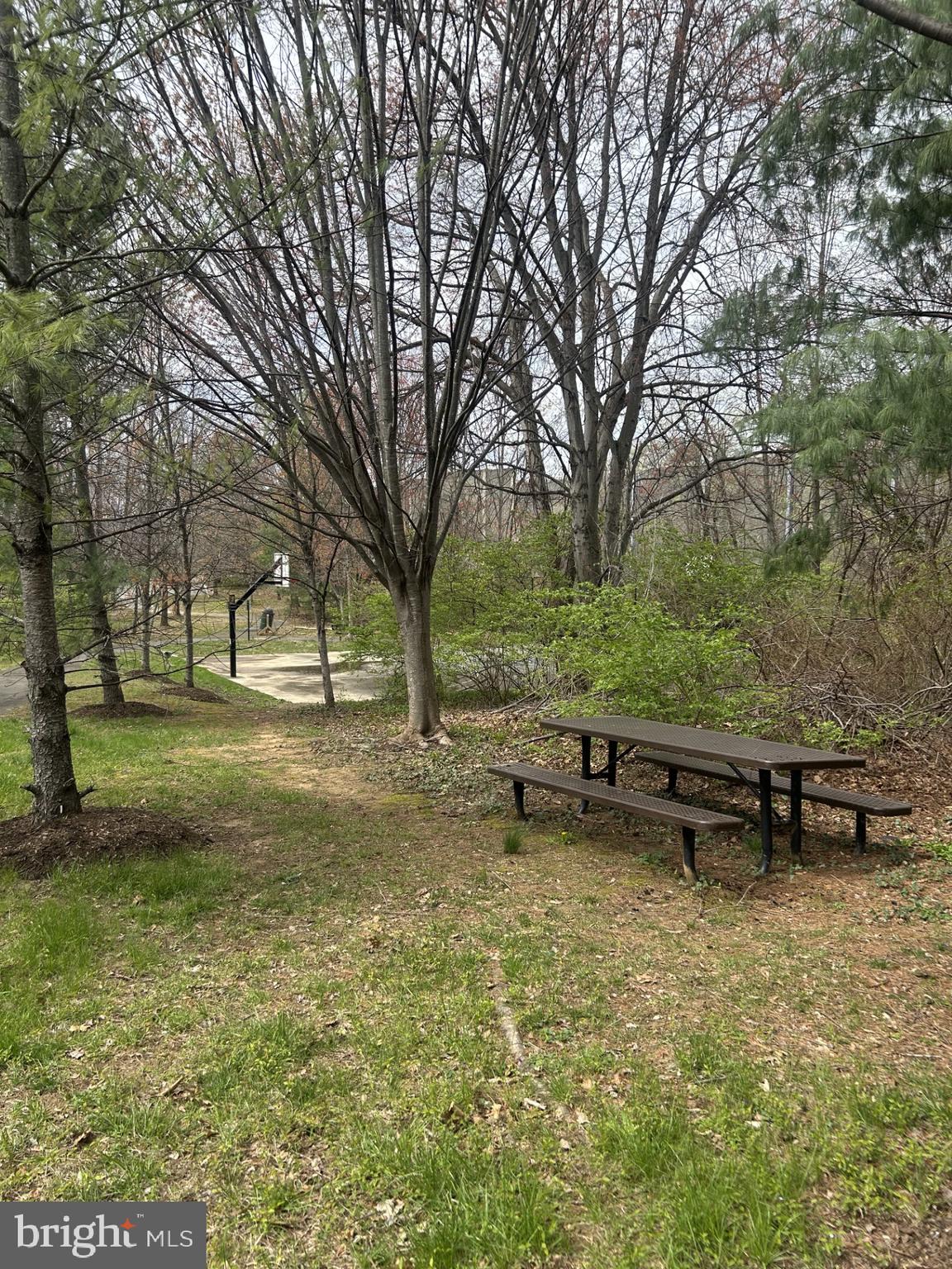 9183 Topaz Street Fairfax, VA 22031 - Photo 67 of 67 a view of a yard with a bench and trees
