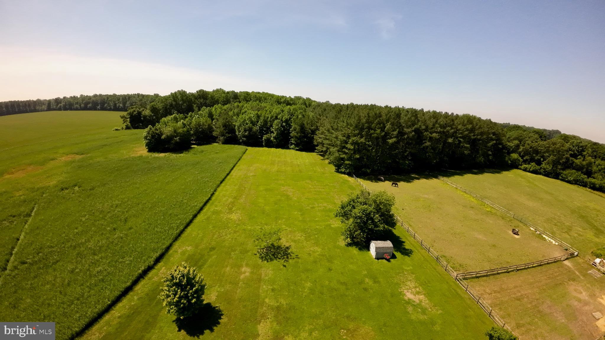 25615 Hignutt Road Denton, MD 21629 - Photo 32 of 38