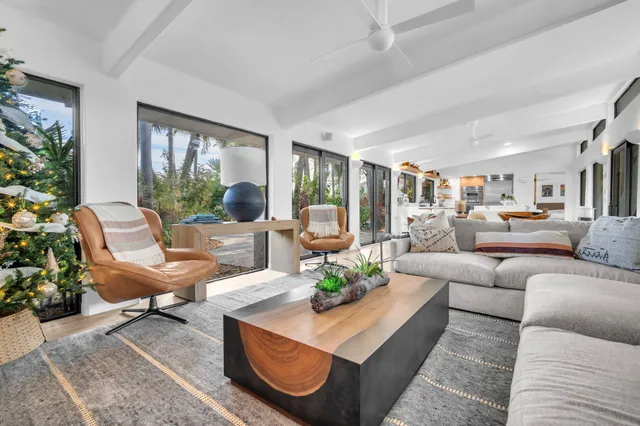 a potted plant sitting in front of a house