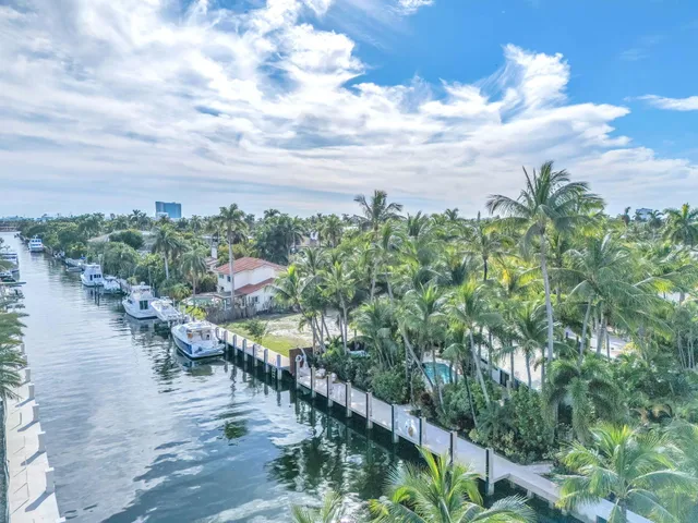 a plant that is in front of a house