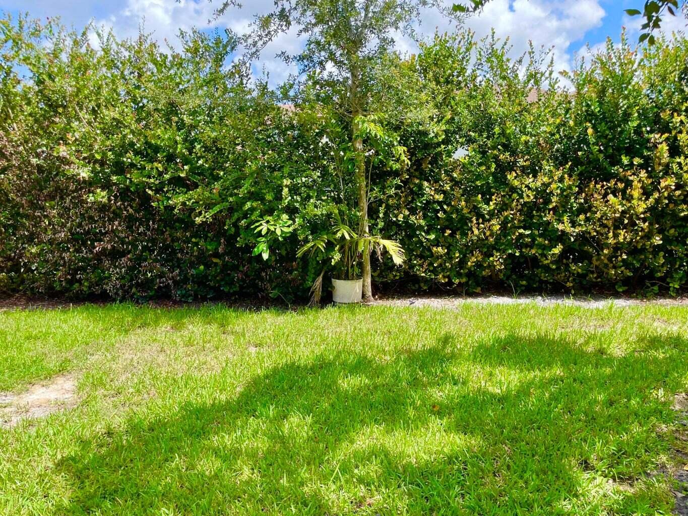 6763 Via Regina Boca Raton, FL 33433 - Photo 39 of 39 a view of a yard