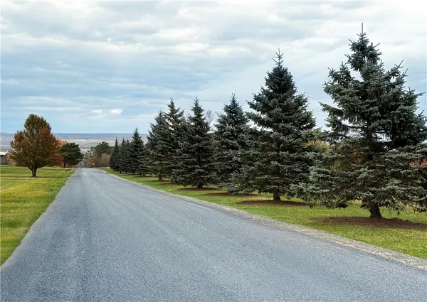 $390,000 | Lot 3 Elm Road, Dundee, NY 14837