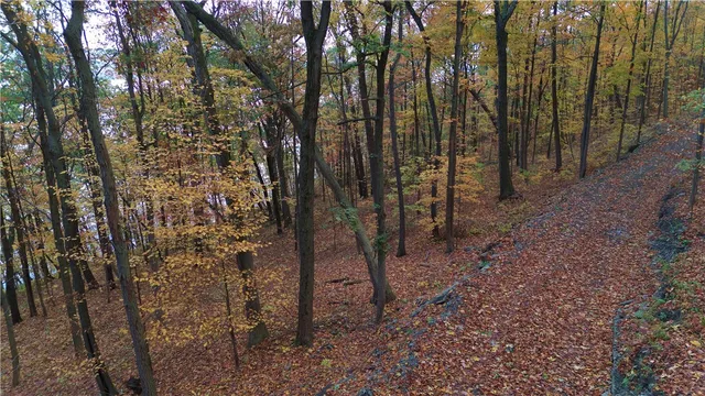 $390,000 | Lot 3 Elm Road, Dundee, NY 14837