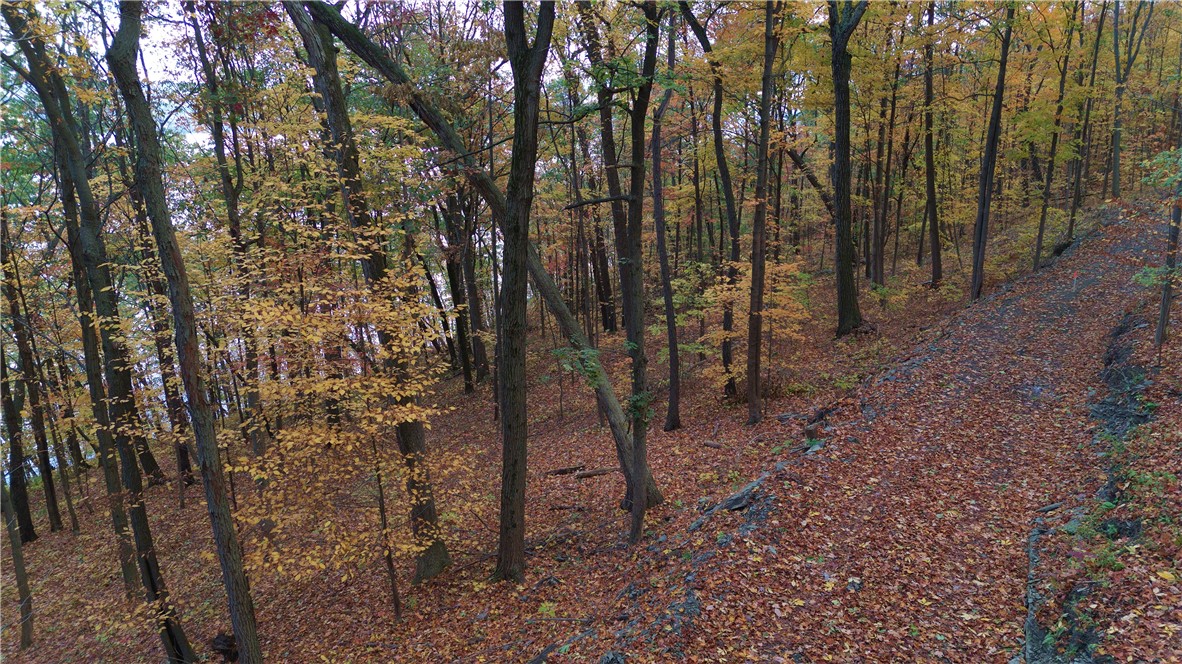 Lot 3 Elm Road Dundee, NY 14837 - Photo 7 of 19 A wooded building area sits along a cut-in path, o