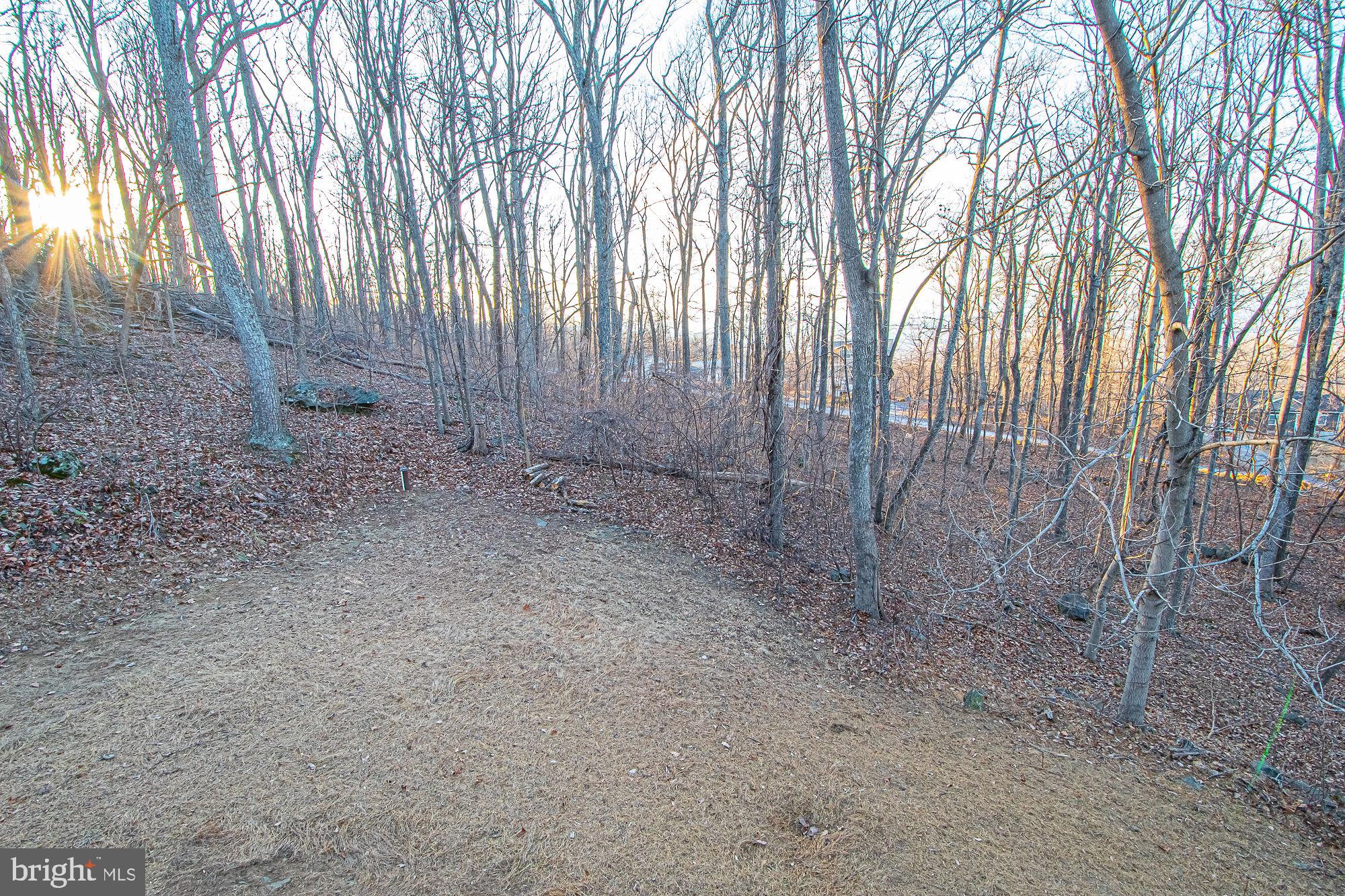 47 Freeze Road Linden, VA 22642 - Photo 17 of 19