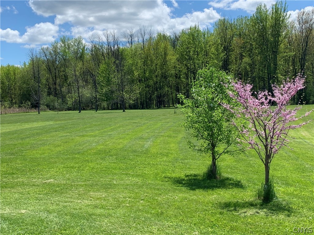 512 Shackelton Point Road Sullivan, NY 13030 - Photo 3 of 32 Your personal oasis