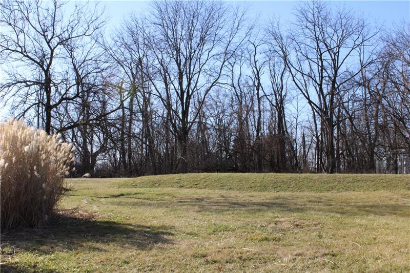 80 Duff Road Pittsburgh, PA 15235 - Photo 3 of 25 Tranquil wooded back yard - 1/2 acre lot!