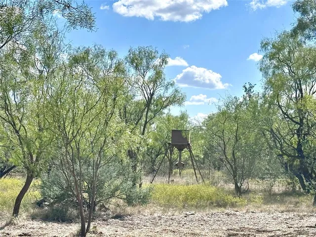 a view of outdoor space yard and patio