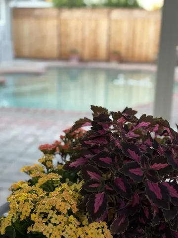 a backyard of a house with lots of green space and plants