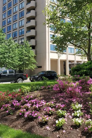 a view of a house with a garden