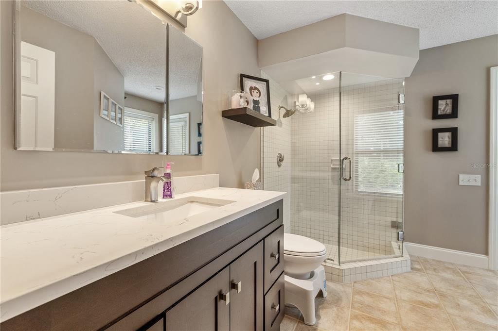 3372 Brian Road South Palm Harbor, FL 34685 - Photo 29 of 45 a bathroom with a sink a toilet a mirror and shower