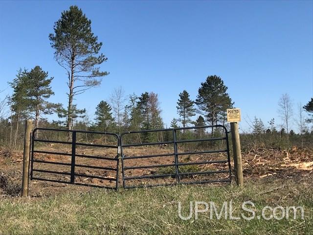 31-acres Weckerle Road Pembine, WI 54156 - Photo 5 of 10