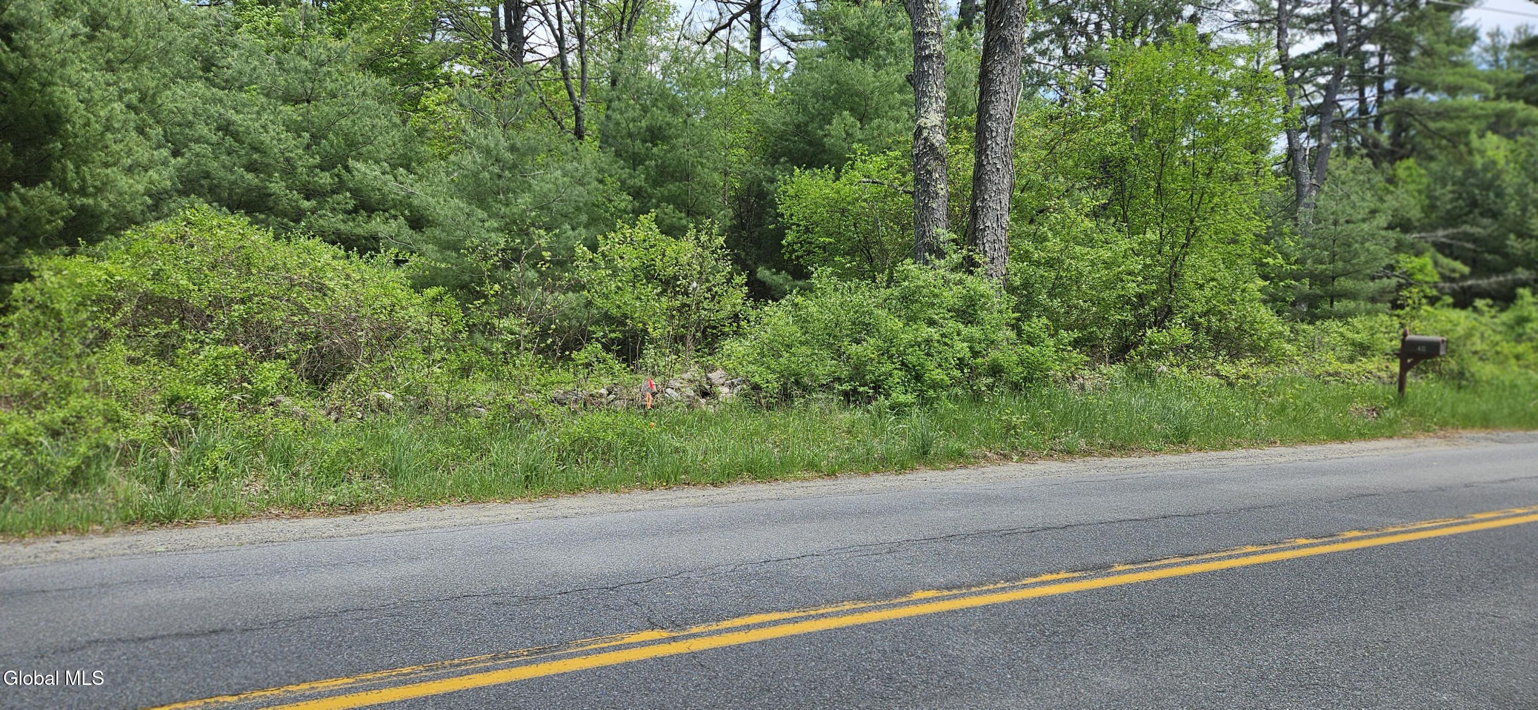 L58.2 Howe Road Greenfield Center, NY 12833 - Photo 3 of 3 1000023835