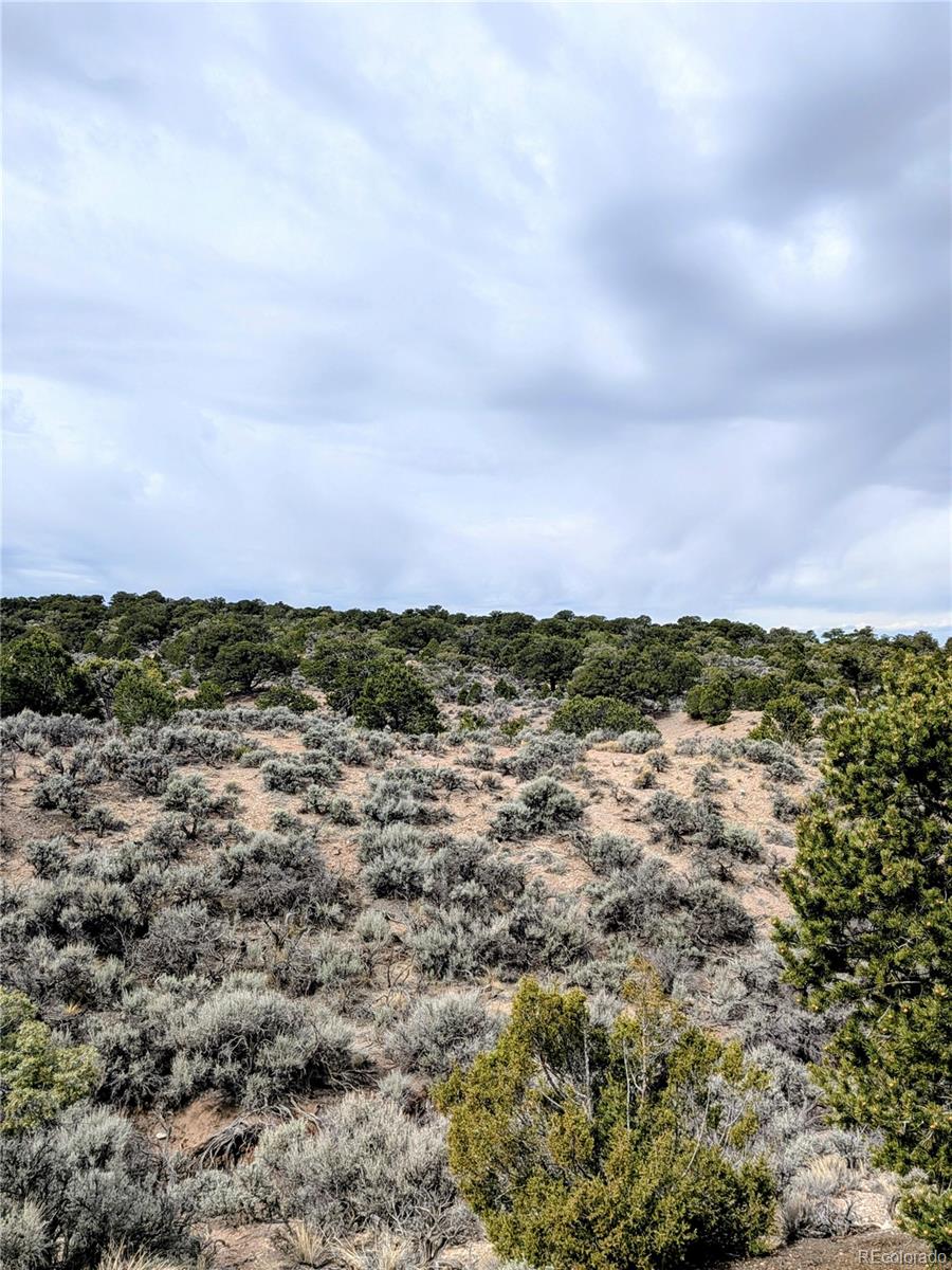 Lot 3589 Freylinghuysen Road Fort Garland, CO 81133 - Photo 7 of 9 a view of a lake