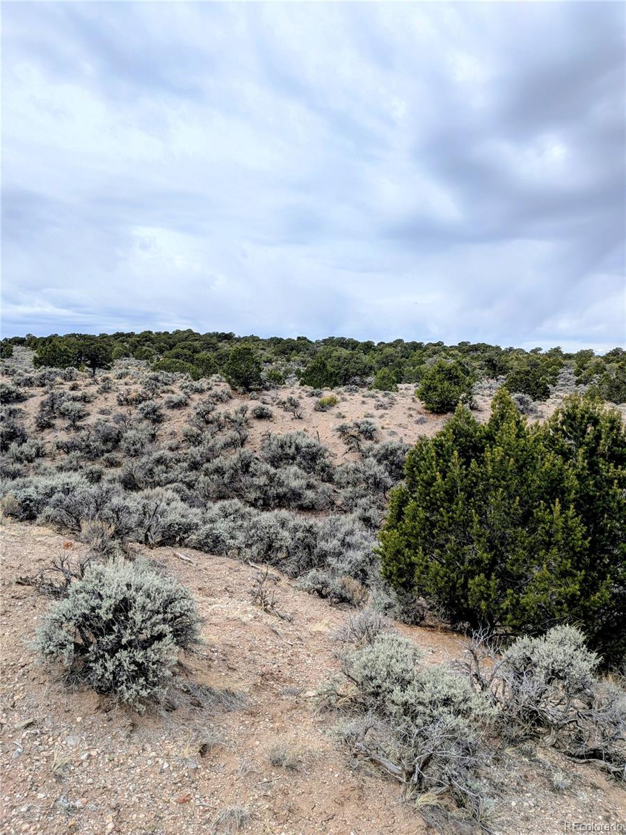 Lot 3589 Freylinghuysen Road Fort Garland, CO 81133 - Photo 8 of 9 a view of a city