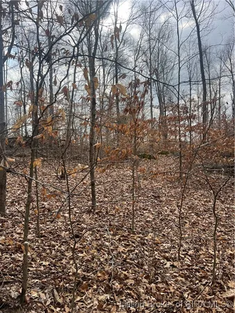 $90,000 | 0 Hwy 135, Unit TRACT 3, New Salisbury, IN 47161