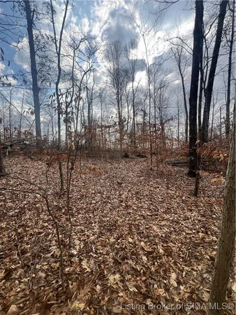 $90,000 | 0 Hwy 135, Unit TRACT 3, New Salisbury, IN 47161