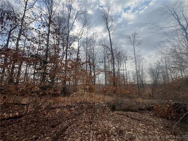 $90,000 | 0 Hwy 135, Unit TRACT 3, New Salisbury, IN 47161