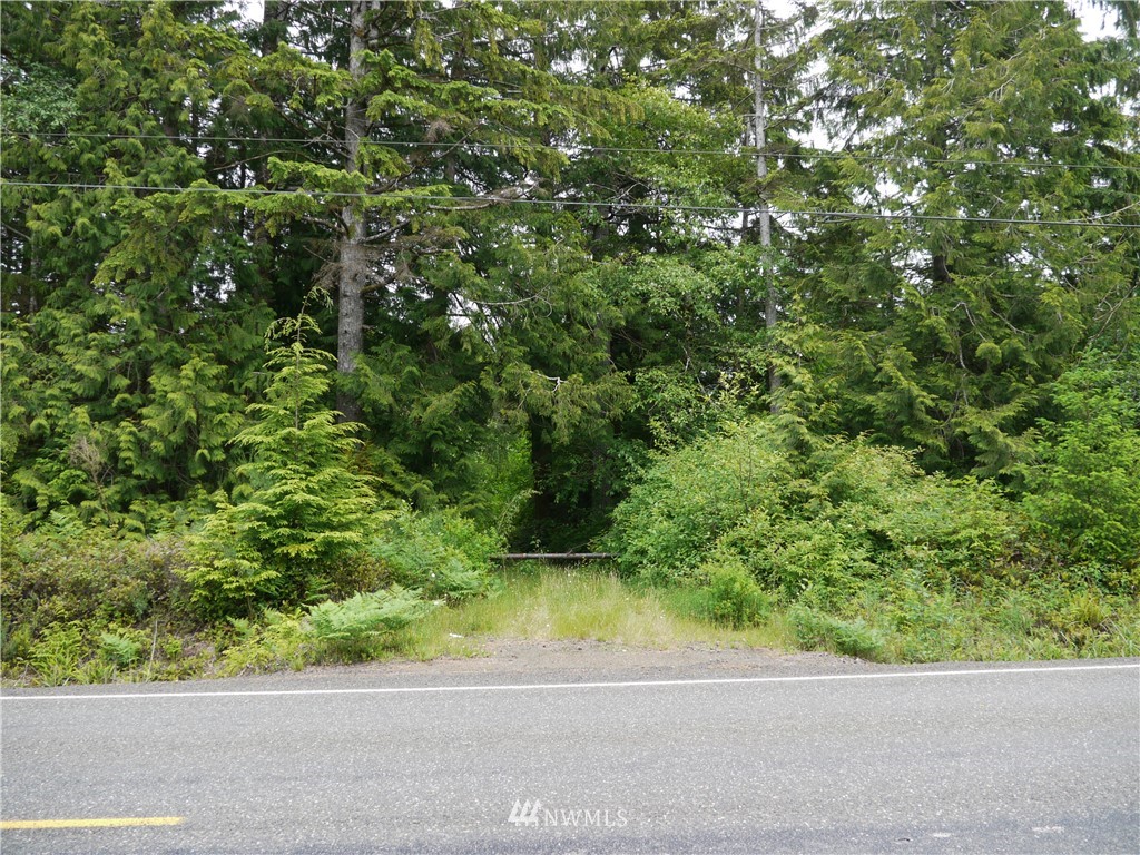 13.1 Ocean Beach Road Copalis Crossing, WA 98536 - Photo 1 of 14 Gallery Image 1