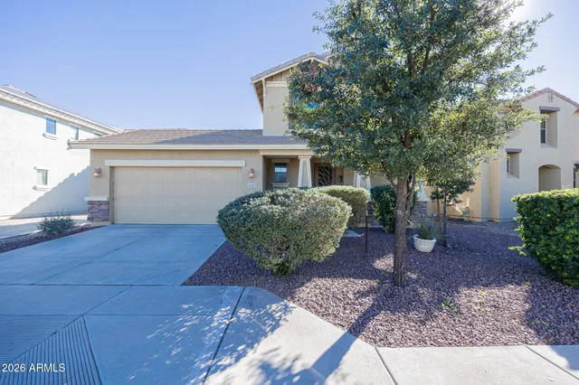a view of a backyard with plants and large tree