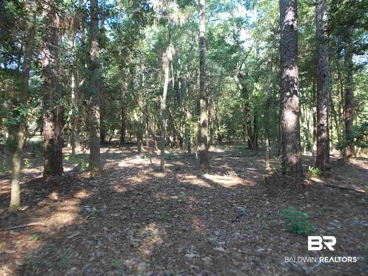 0 Ernest Patterson Road Robertsdale, AL 36567 - Photo 9 of 14