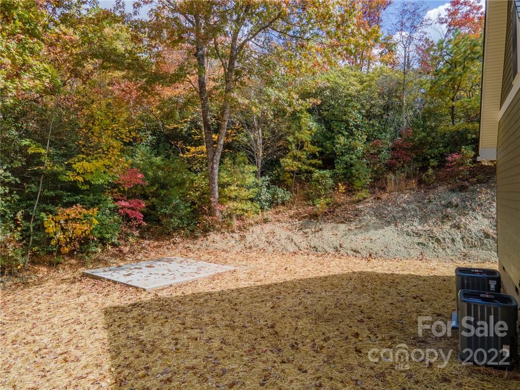 287 Blue Cedar Road Sylva, NC 28779 - Photo 46 of 48 Gallery Image 46