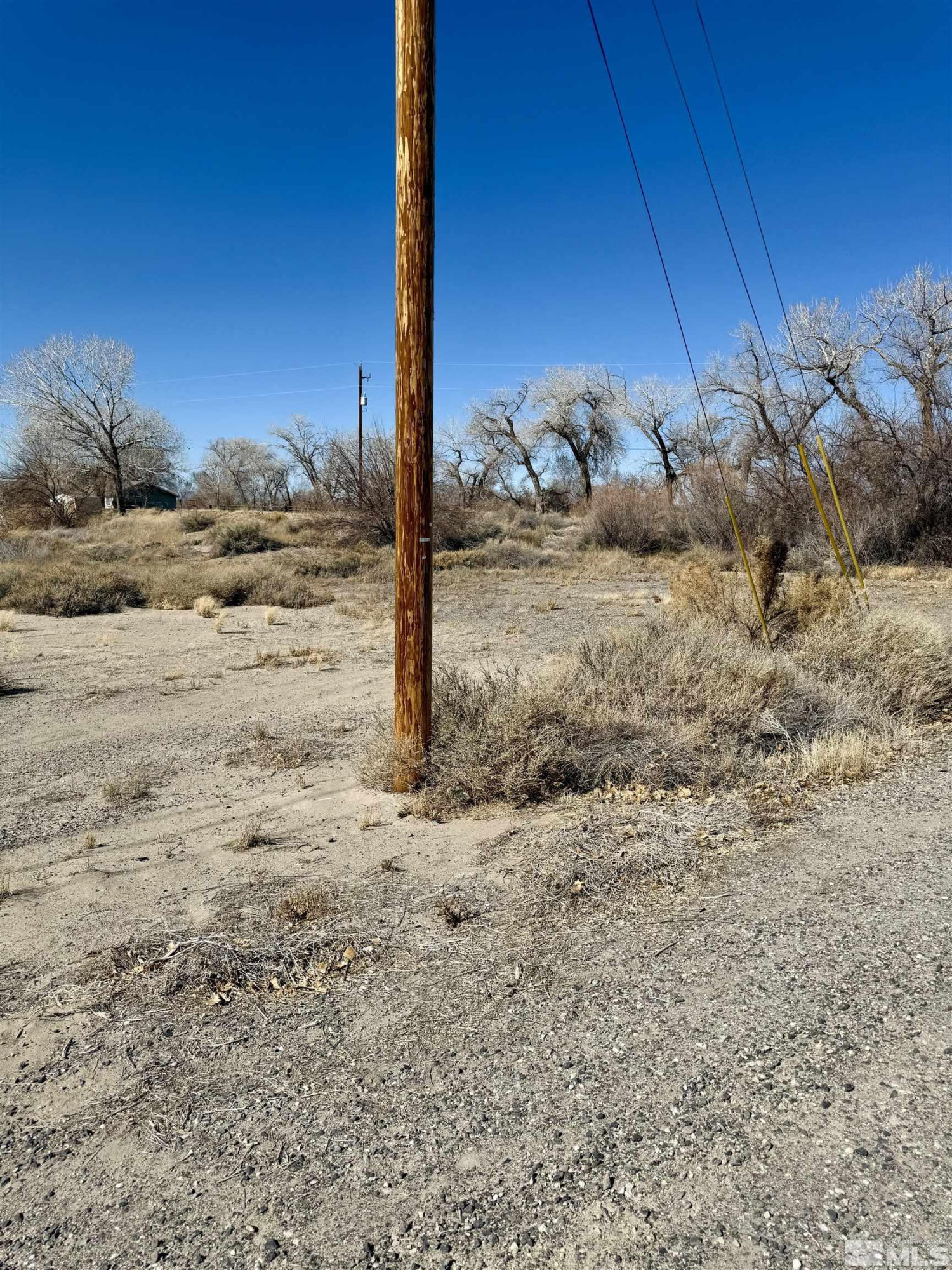 2020 Blues Court Fallon, NV 89406 - Photo 2 of 5 a view of a backyard of the house
