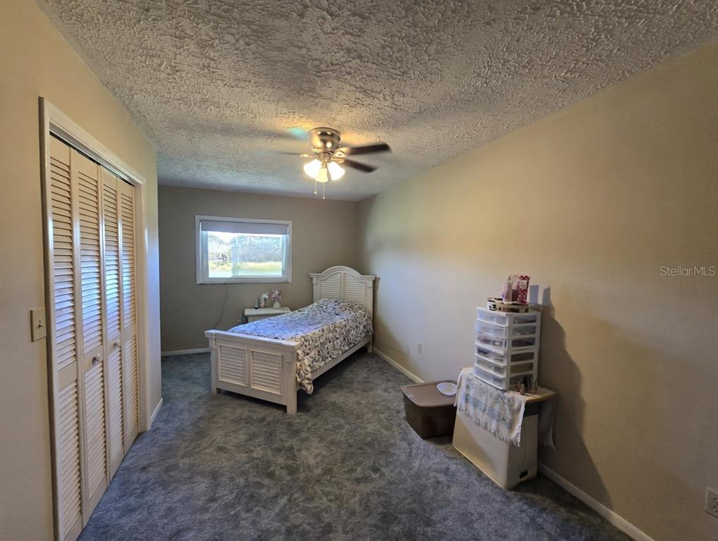 12882 East Wheeler Road Dover, FL 33527 - Photo 12 of 30