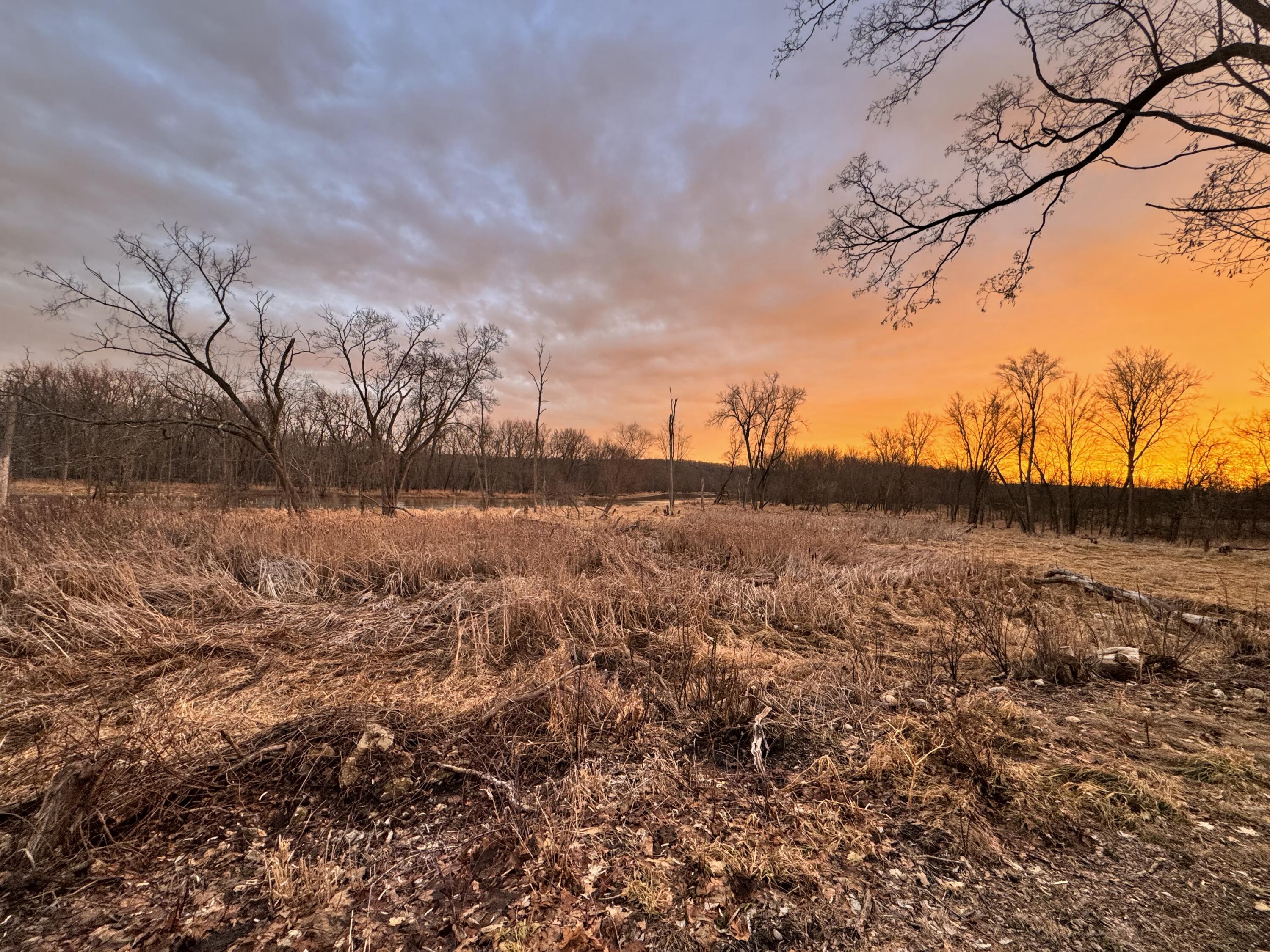 125 Grove Street Lowell, MI 49331 - Photo 33 of 35 IMG_1621