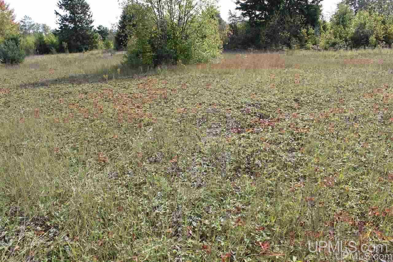 23827 Hulkonen Road Nisula, MI 49952 - Photo 27 of 44 Gallery Image 27