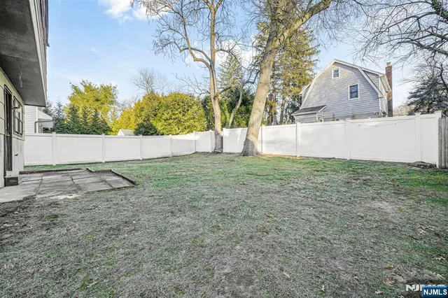 a view of a yard with large tree