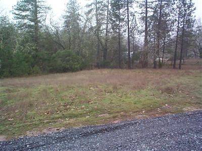 22613 East Side Road Willits, CA 95490 - Photo 9 of 9 a view of a yard with trees in the background