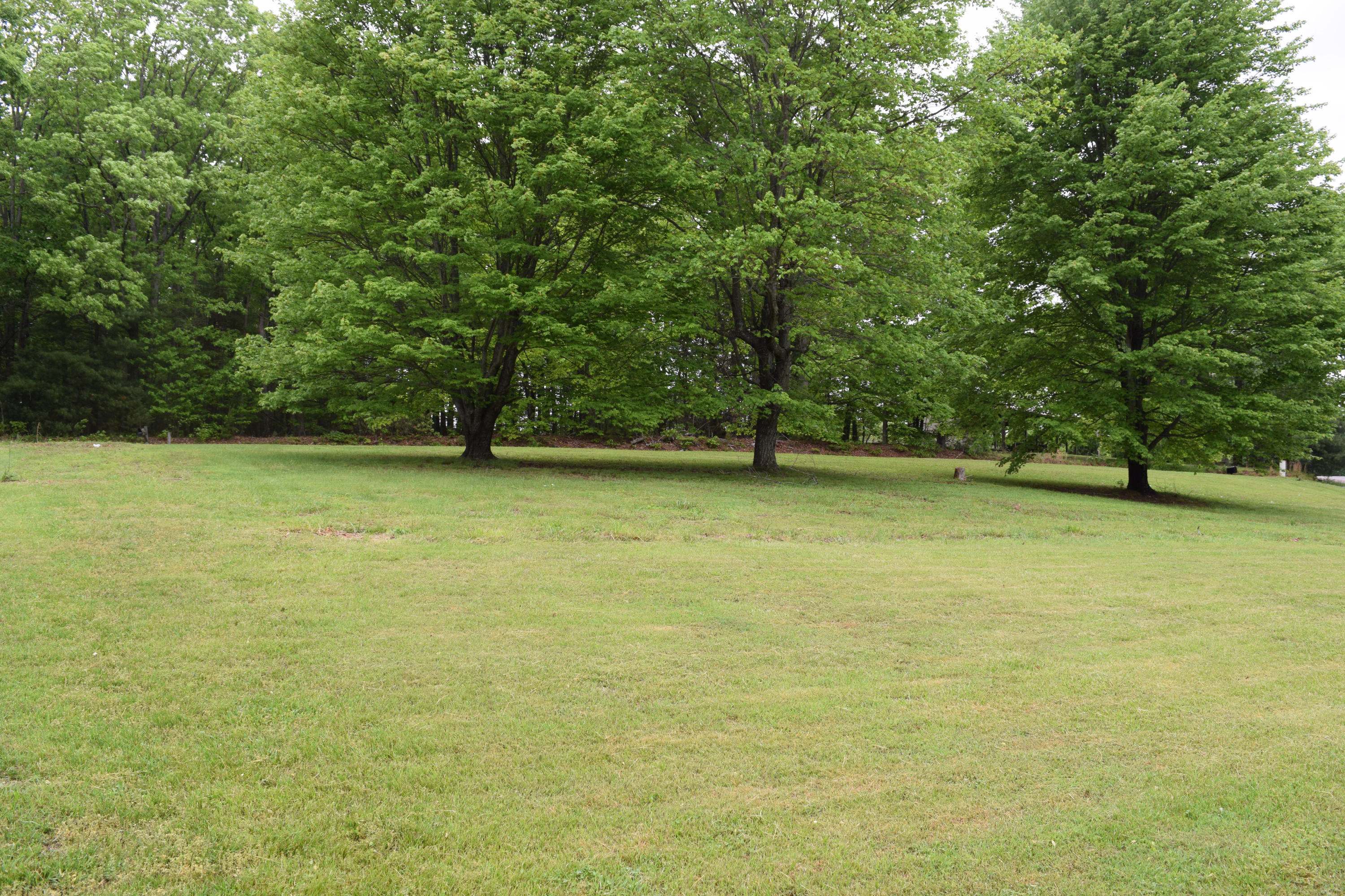 4752 Waidsboro Road Ferrum, VA 24088 - Photo 2 of 38 a view of a ocean view