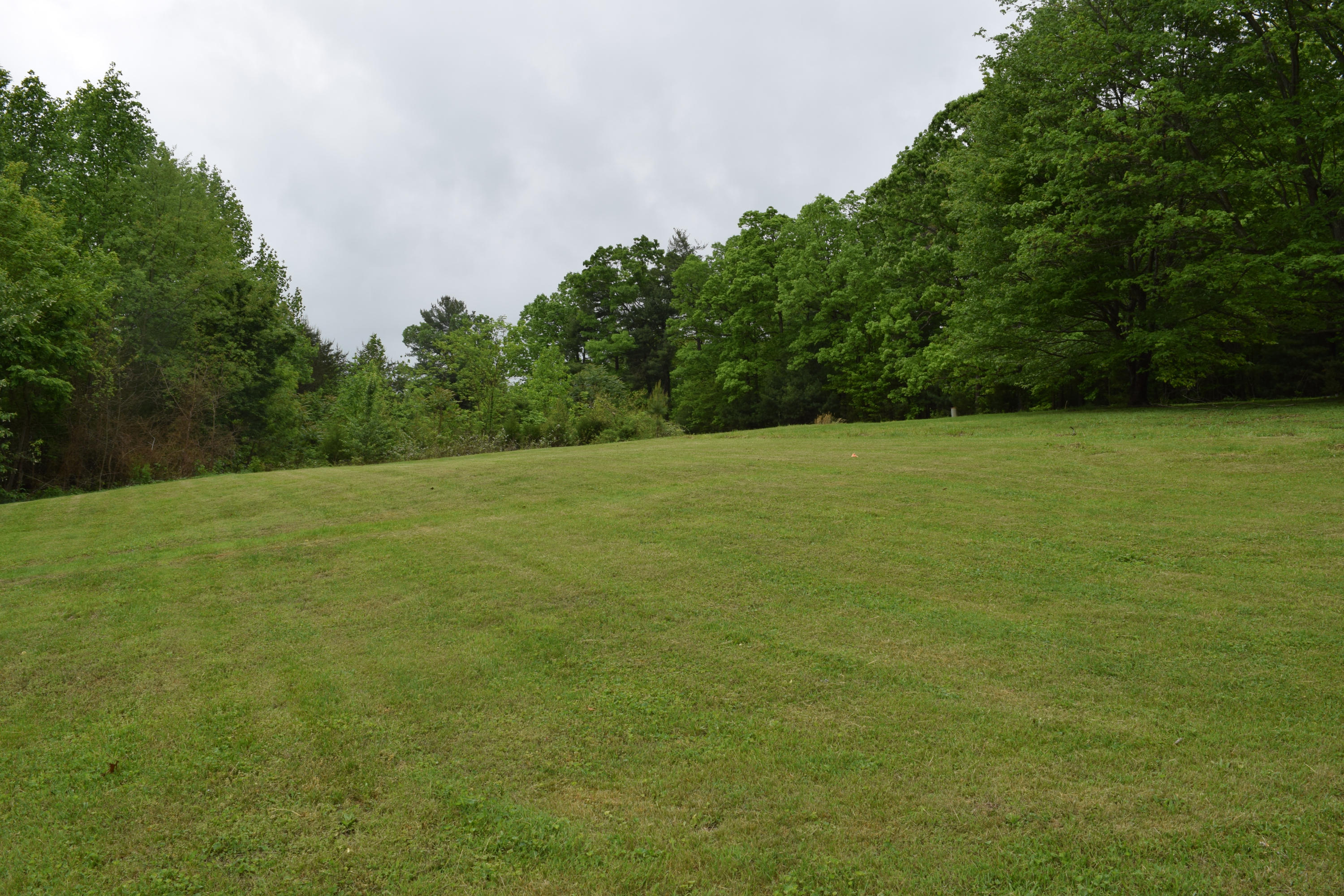 4752 Waidsboro Road Ferrum, VA 24088 - Photo 37 of 38 a view of a field with a trees in the background