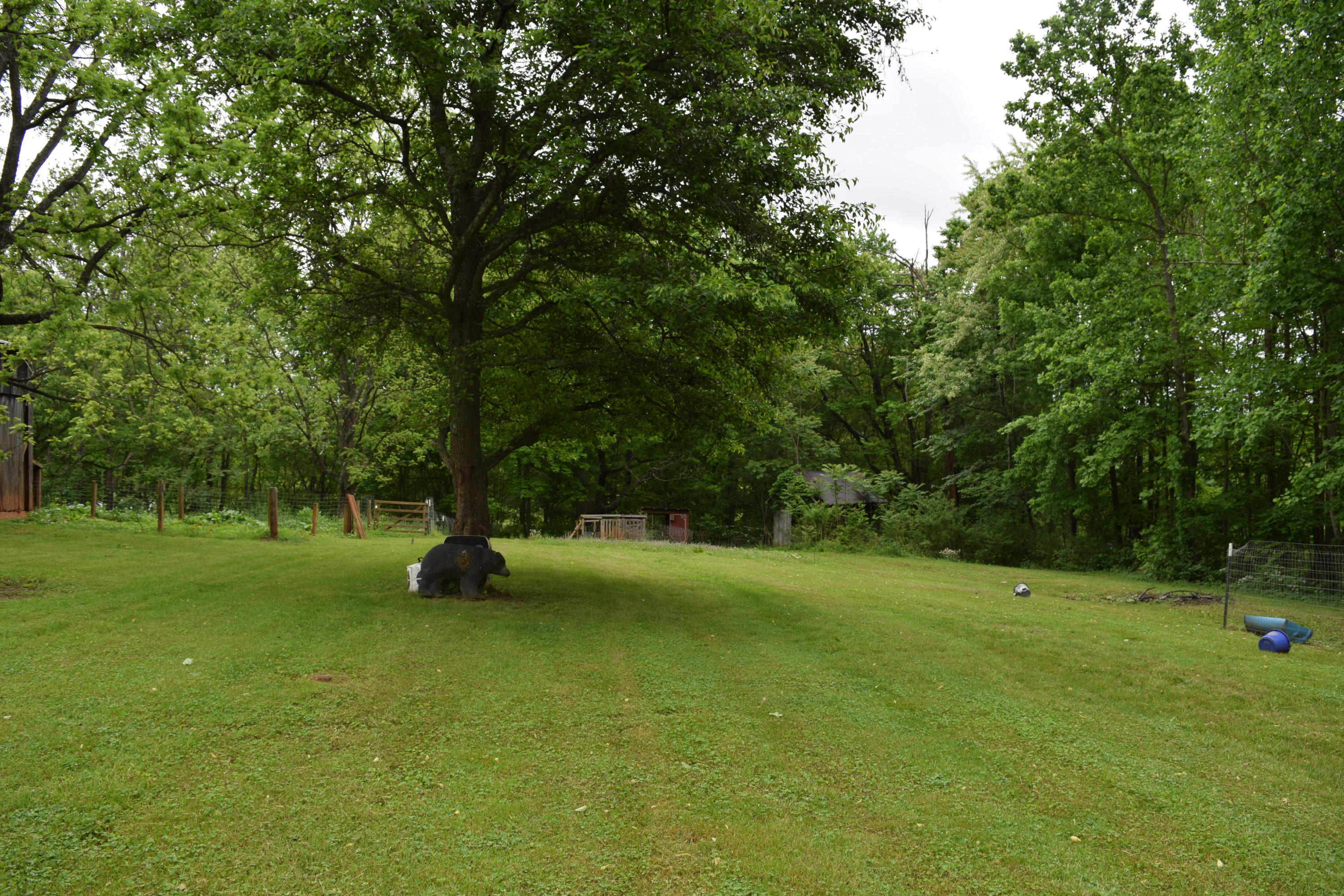 4752 Waidsboro Road Ferrum, VA 24088 - Photo 8 of 38 a view of field with trees in the background