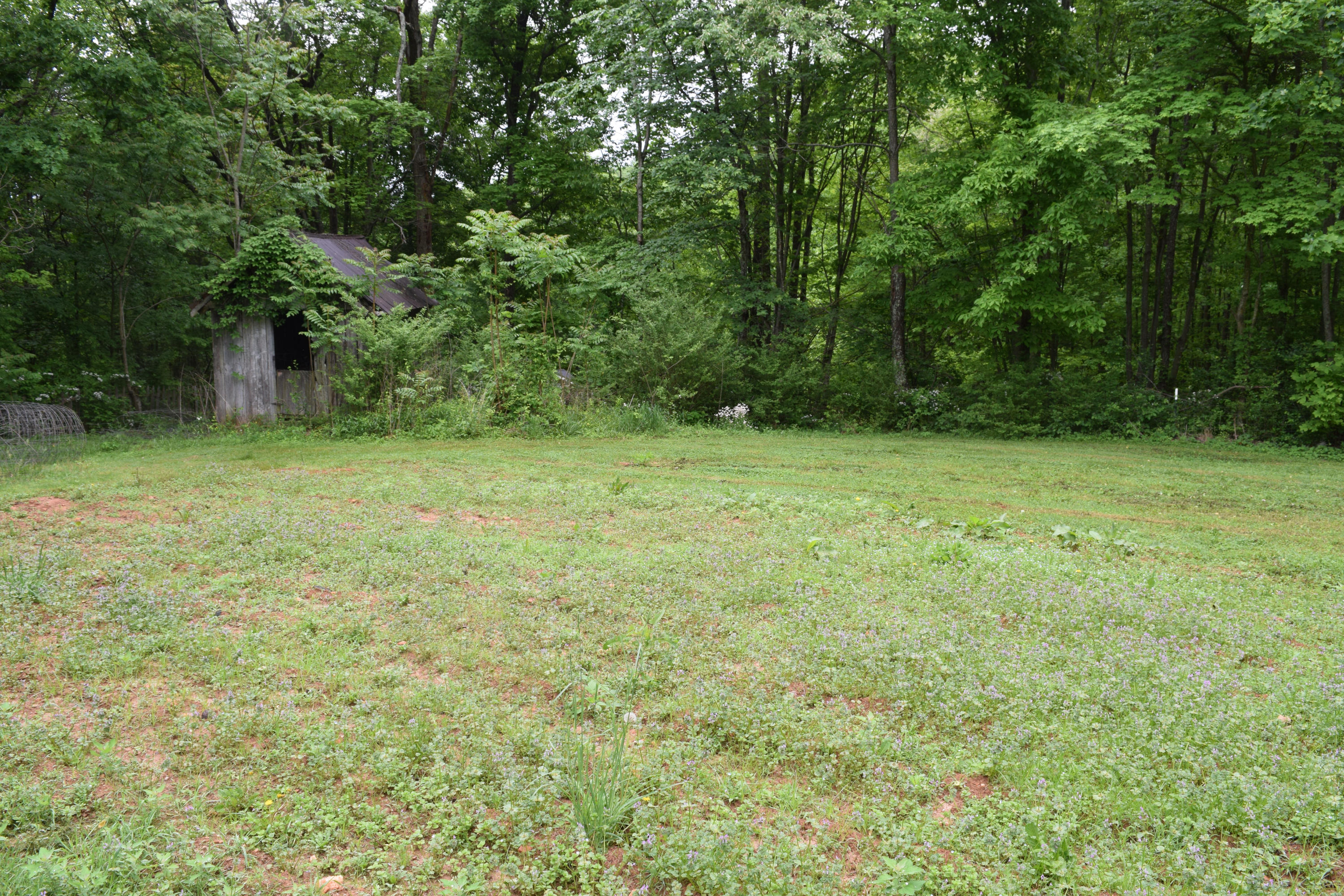 4752 Waidsboro Road Ferrum, VA 24088 - Photo 9 of 38 a view of a field with trees in the background