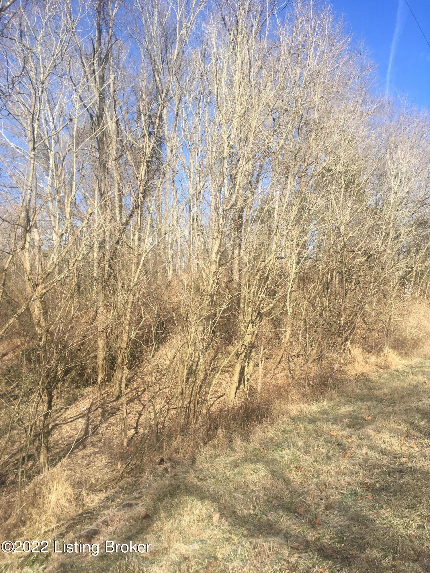 4 Beech Grv Road Shepherdsville, KY 40165 - Photo 6 of 6 land 6