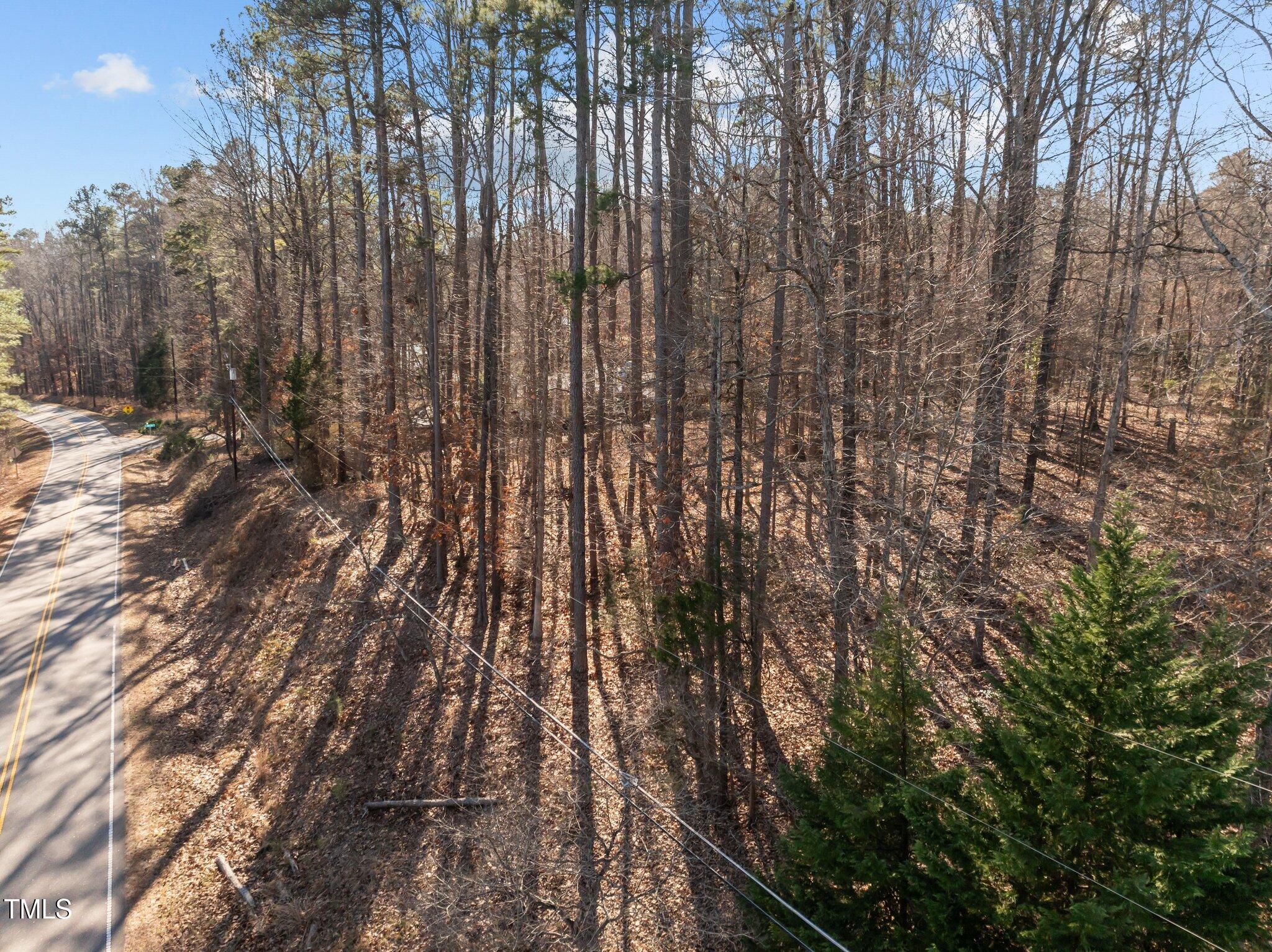 3207 West Cornwallis Road Durham, NC 27705 - Photo 4 of 11 a view of backyard with wooden fence and trees