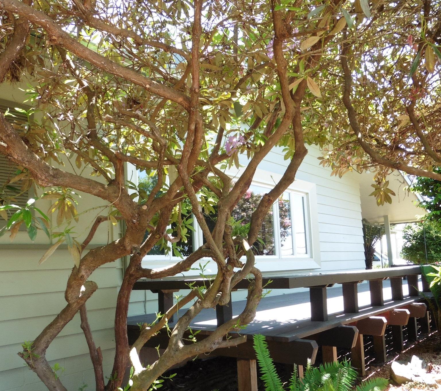 1500 Old Arcata Road Arcata, CA 95521 - Photo 10 of 23 Gallery Image 10