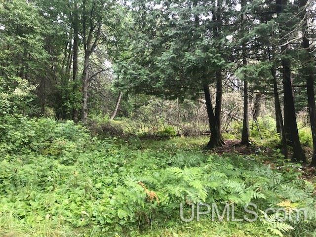 1810 Iron Lake Road Iron River, MI 49935 - Photo 19 of 32