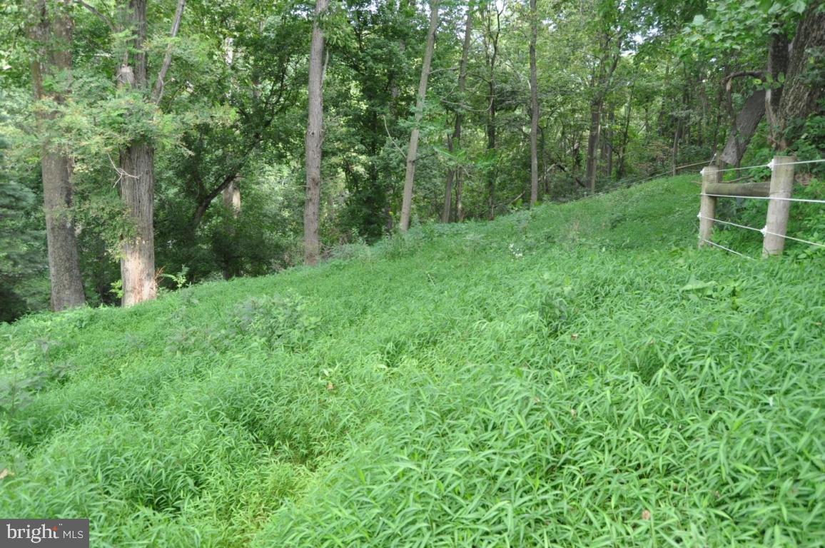 3231 Safe Harbor Road Conestoga, PA 17516 - Photo 5 of 22