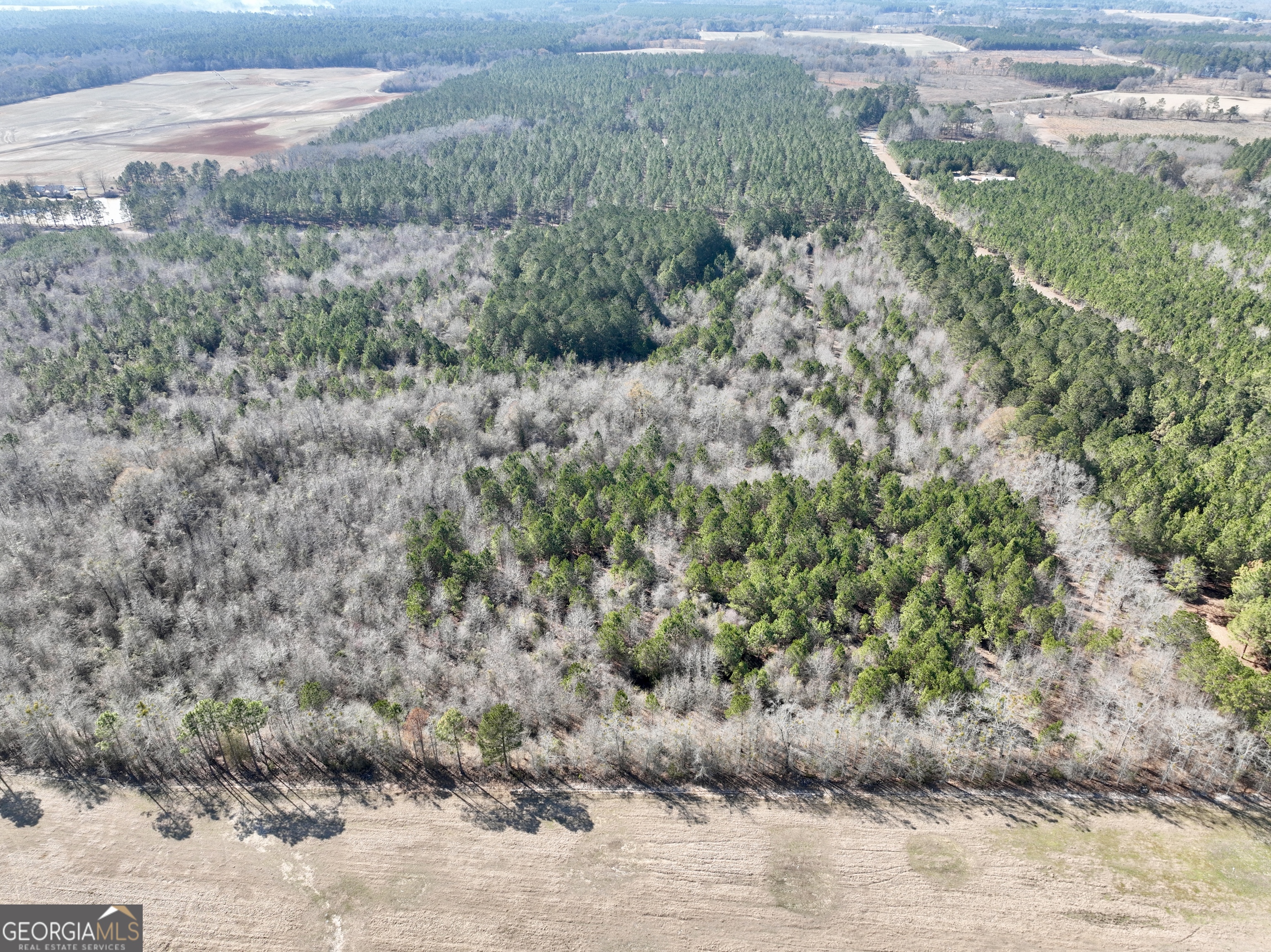 0 NORTH Shady Grove Road Abbeville, GA 31001 - Photo 11 of 21 a view of a dry yard with green space