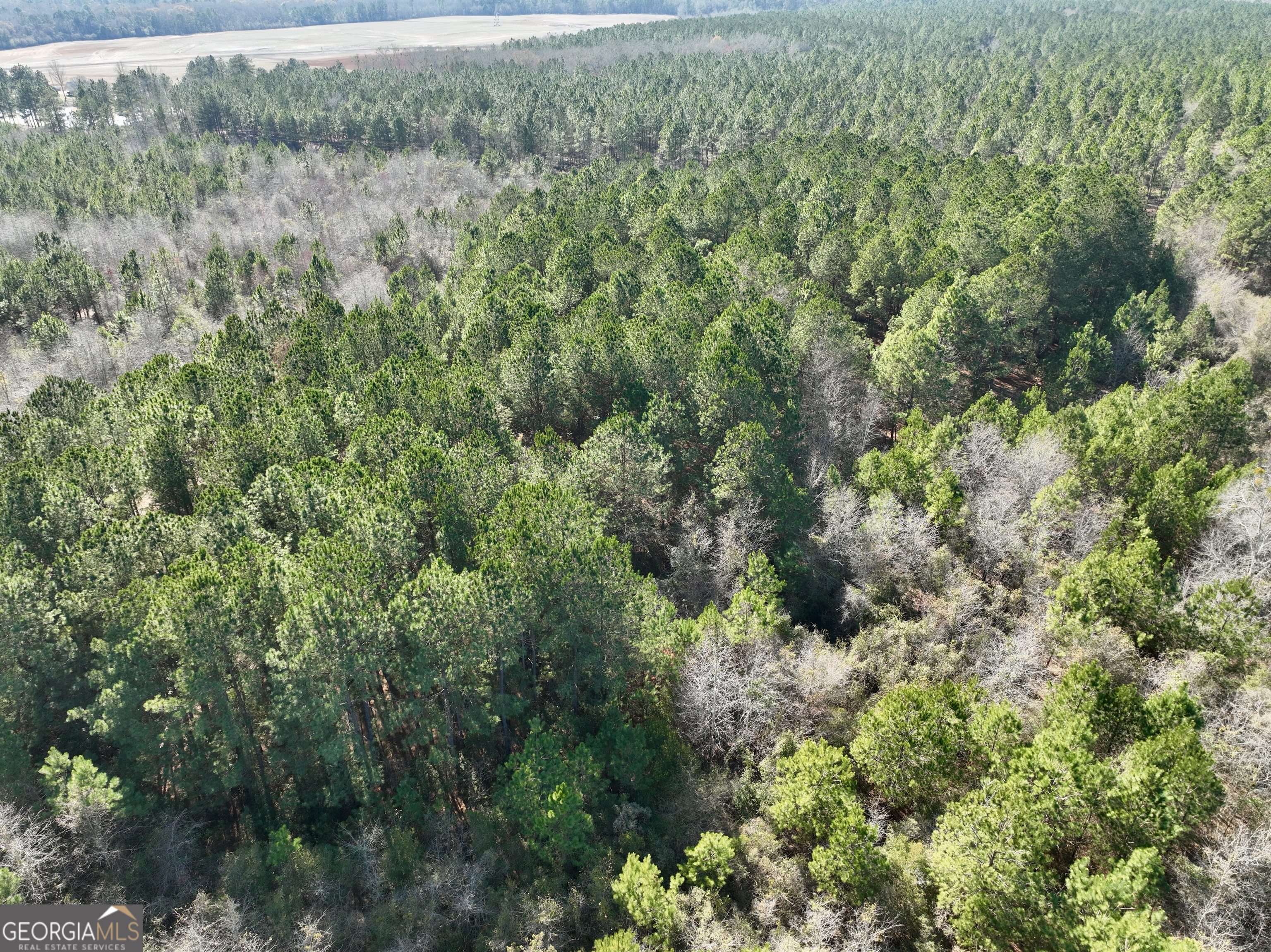 0 NORTH Shady Grove Road Abbeville, GA 31001 - Photo 14 of 21 a view of a forest with a houses