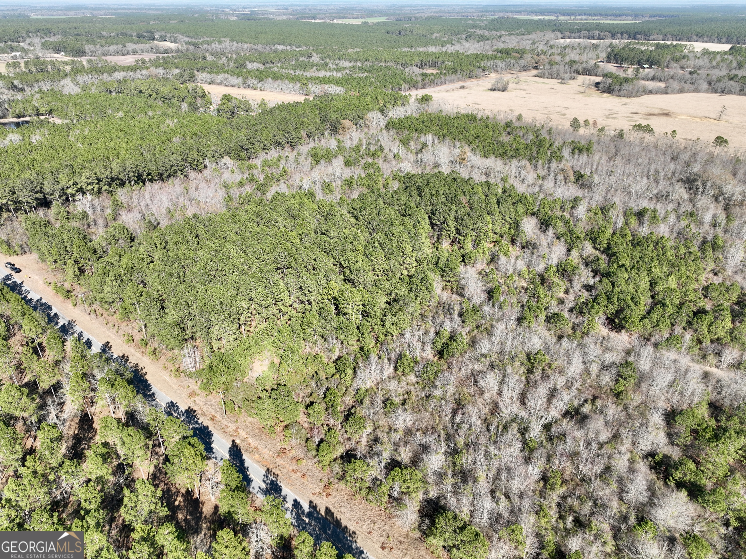 0 NORTH Shady Grove Road Abbeville, GA 31001 - Photo 15 of 21 a view of a city with green space