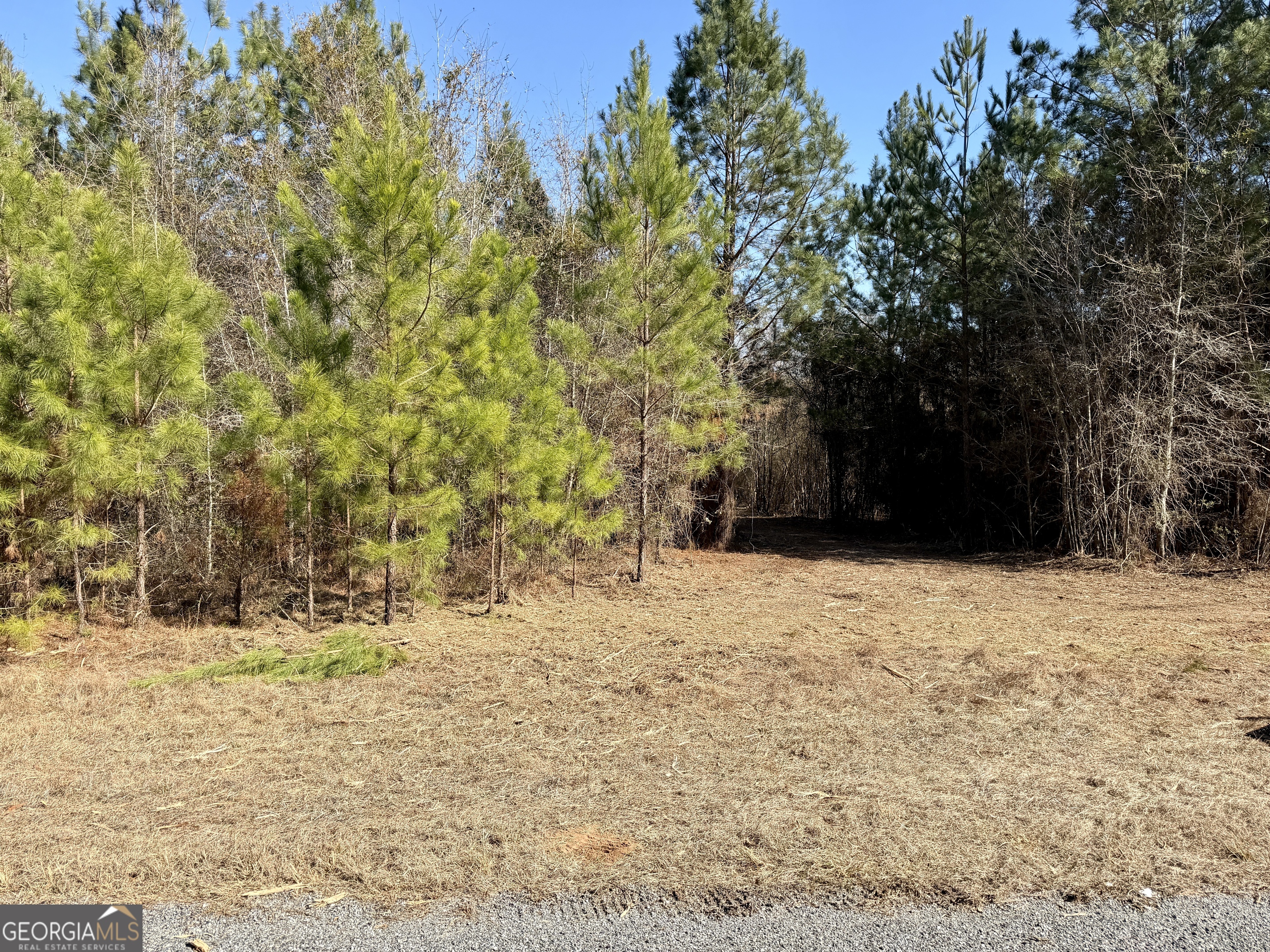 0 NORTH Shady Grove Road Abbeville, GA 31001 - Photo 20 of 21 a view of yard covered with snow in outdoor space
