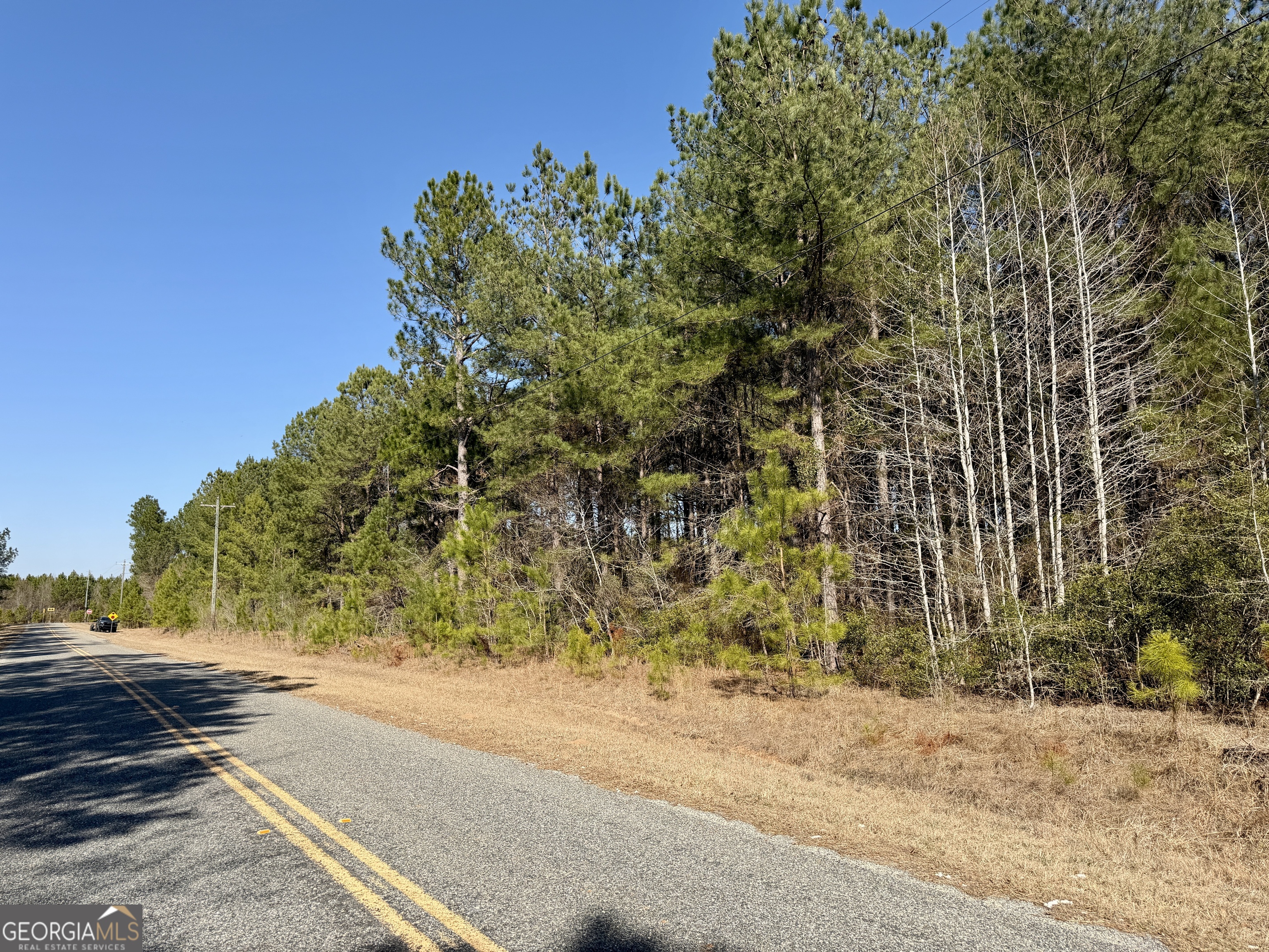 0 NORTH Shady Grove Road Abbeville, GA 31001 - Photo 21 of 21 a street view along with trees